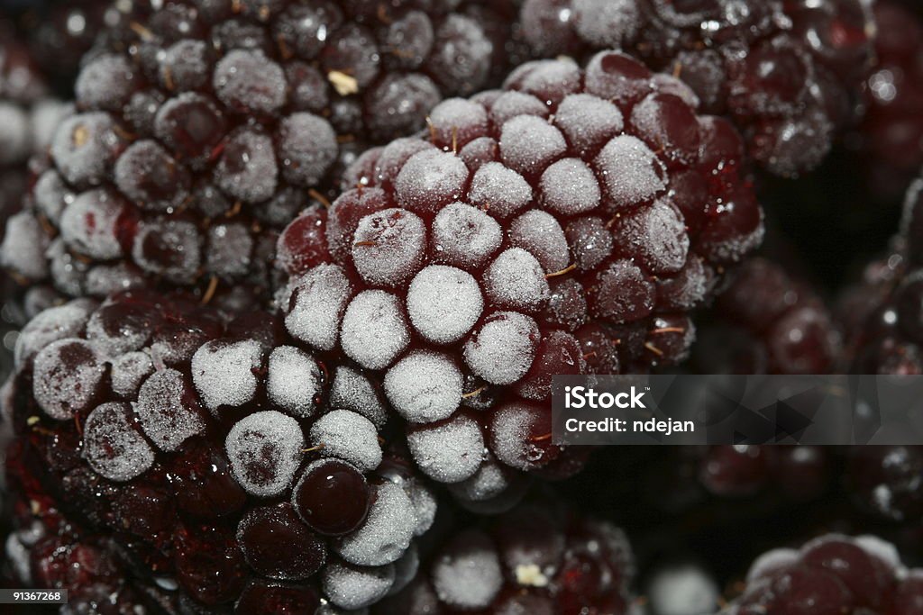 Blackberries  Autumn Stock Photo