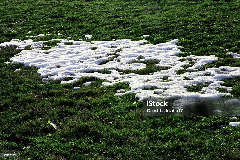 Invierno de resorte de nieve fusión sobre verde de la hierba - Foto de stock de Aire libre libre de derechos