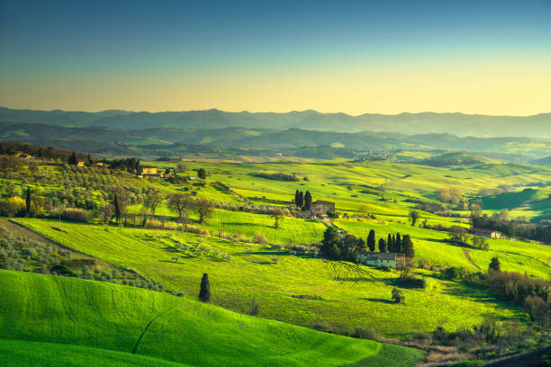 istock Volterra panorama, rolling hills, trees and green fields at sunset. Tuscany, Italy 913676608