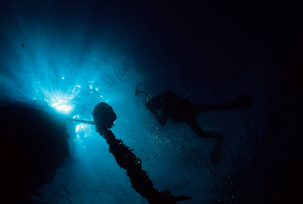 istock Silhoutte Of Diver 91367784