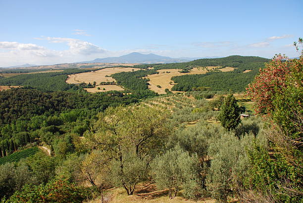 istock Tuscany Landscape Series 91367801