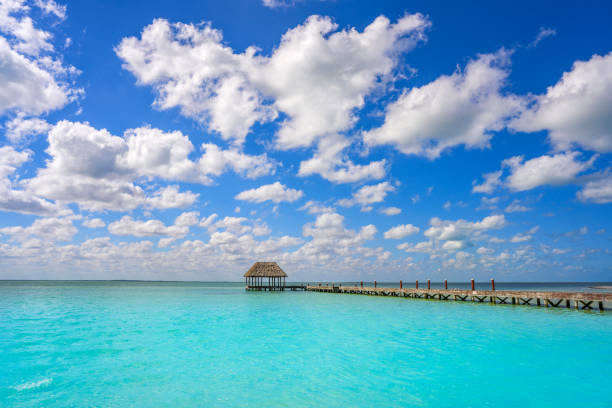 istock Holbox Island beach wooden pier hut Mexico 913679446