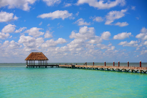 istock Holbox Island beach wooden pier hut Mexico 913681506