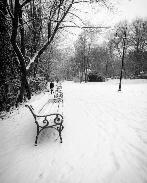 Winter landscape with a bench. Some trees in the background.