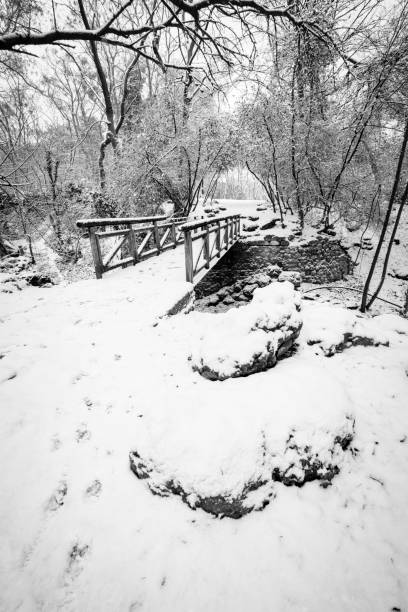 istock wooden bridge covered with snow 913682374