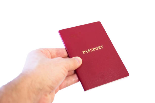 istock Outstretched hand with a passport. Concept - traveling, obtaining documents. Isolated on white background. 913685718