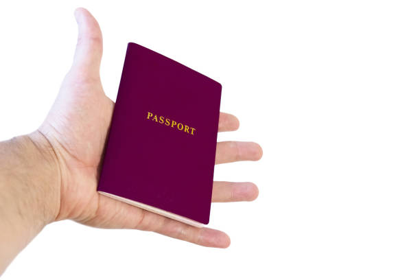 istock Outstretched hand with a passport. Concept - traveling, obtaining documents. Isolated on white background. 913685744