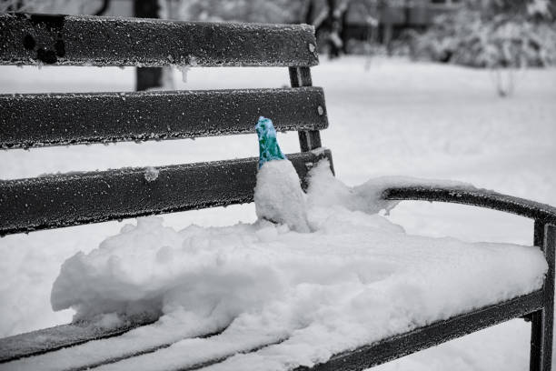 istock Bench in the winter snow park. Black and white 913688610