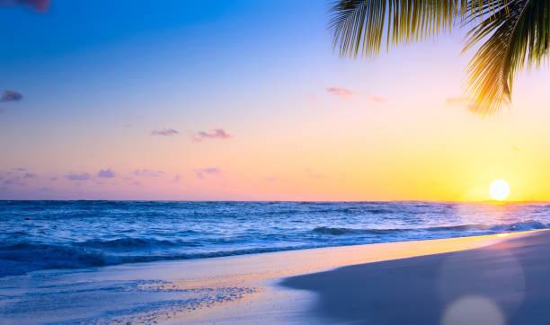 istock Art Beautiful sunset over the tropical beach 913689148