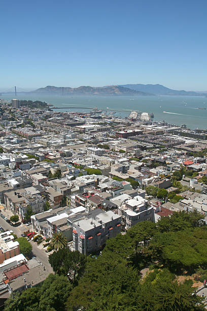 istock Aerial view of SF Bay 91368933