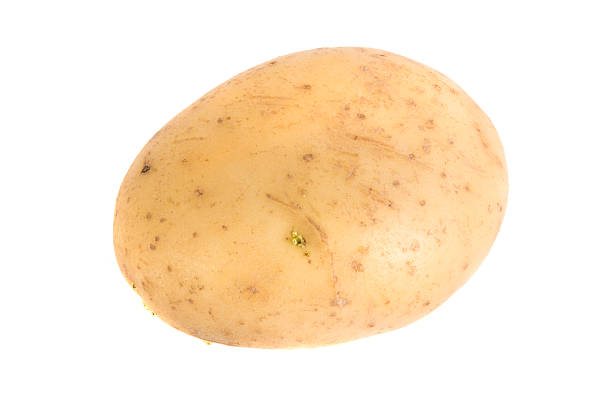 Potatoe stock photo