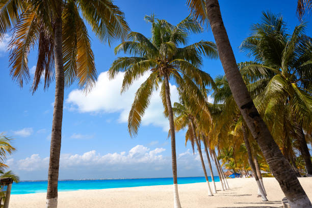 istock Isla Mujeres island Caribbean beach Mexico 913689700