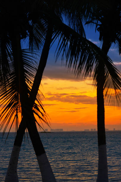 Isla Mujeres island Caribbean beach sunset palm trees Riviera Maya in Mexico