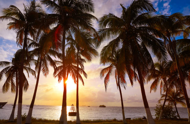 istock Isla Mujeres island Caribbean beach sunset 913690178