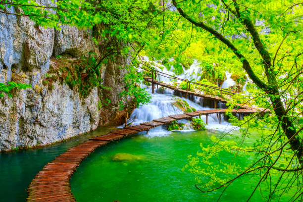 istock Wooden path in National Park in Plitvice 913690264