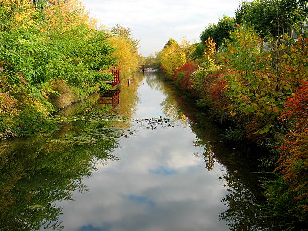 istock Autumn by the canal in Albertslund, Denmark 91369050