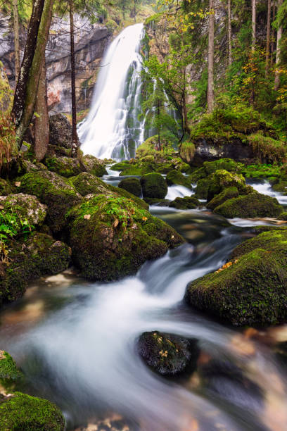 istock The majestic Gollinger Waterfall in Austria 913690504