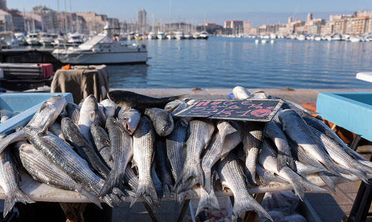 Fisherman Sales His Fresh Fish At The fish Market Of Old Port Of Marseille