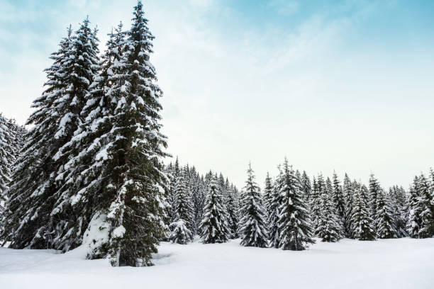 istock Winter landscape  in mountains Julian Alps 913690908