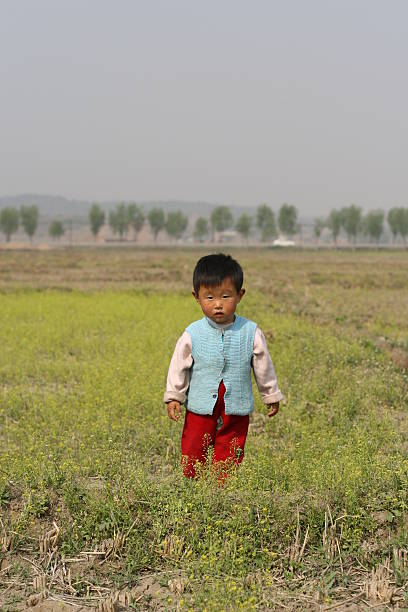 istock girl in field 91369096