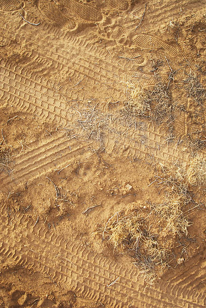 istock tire treads on dirt road 91369173