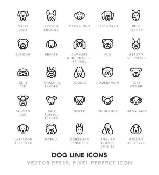 ilustrações, clipart, desenhos animados e ícones de cão linha ícones - shih tzu cute animal canine
