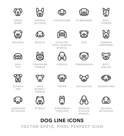 Dog Line Icons Vector EPS 10 File, Pixel Perfect Icons.