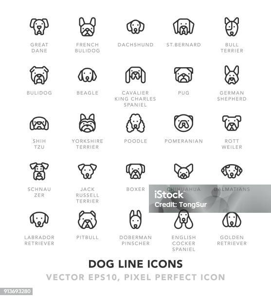 Dog Line Icons Stock Illustration - Download Image Now - Icon Symbol, Dog, Bulldog