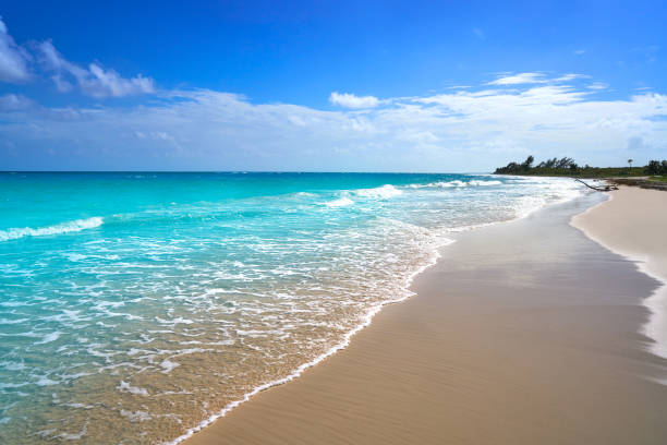 mahahual karibik-strand in costa maya - costa maya stock-fotos und bilder