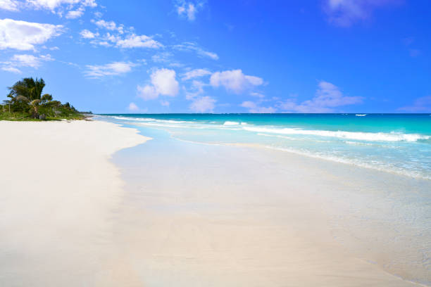 istock Mahahual Caribbean beach in Costa Maya 913693872