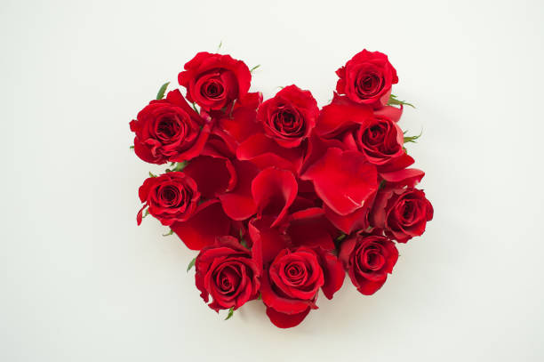 istock Heart shaped red roses petals 913696930