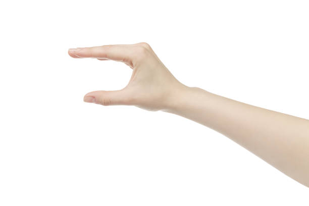 istock young female right hand to hold something small like card 913697192