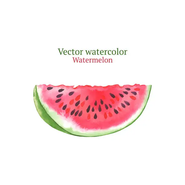 Vector illustration of Watermelon