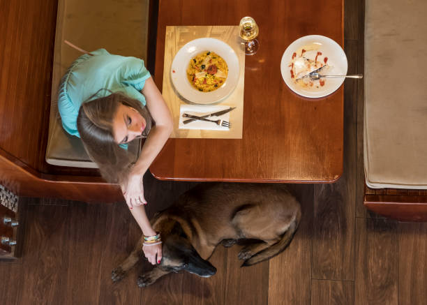 istock A young couple of lunch in a restaurant 913704380