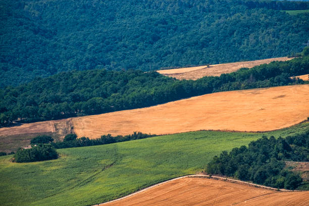 istock Landscape in Umbria near Todi 913708176