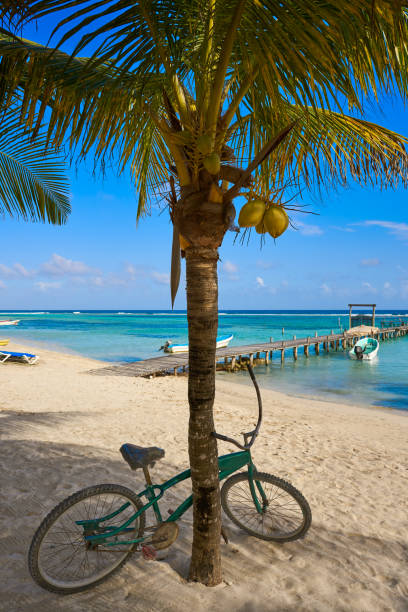 istock Mahahual Caribbean beach in Costa Maya 913709698