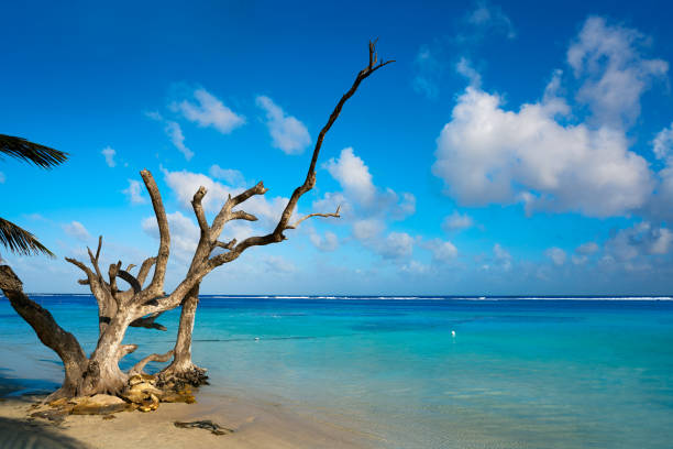 medium cloudy day in Dominican tropical beach san pedro de macoris