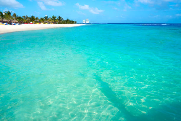 istock Mahahual Caribbean beach in Costa Maya 913714026