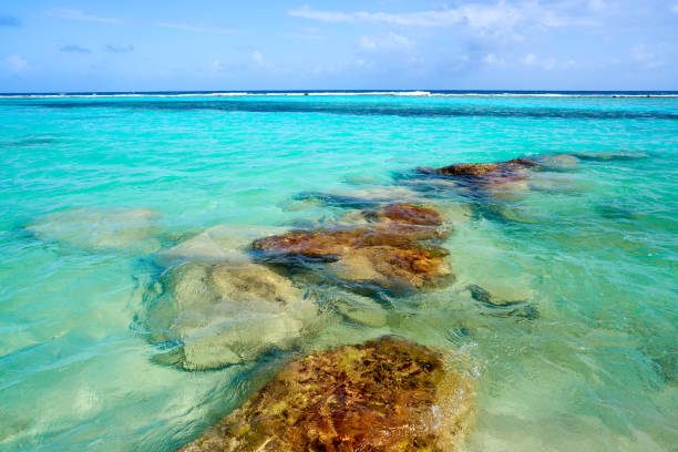 Mahahual Caribbean beach in Costa Maya of Mayan Mexico