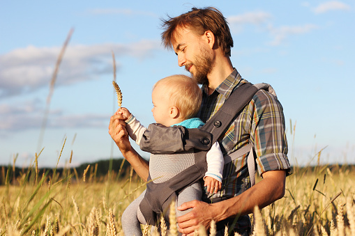 father shows his baby (infant baby in sling) the ear of barley, Russia