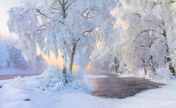 istock Snowy river landscape from Kuhmo, Finland. 913722782