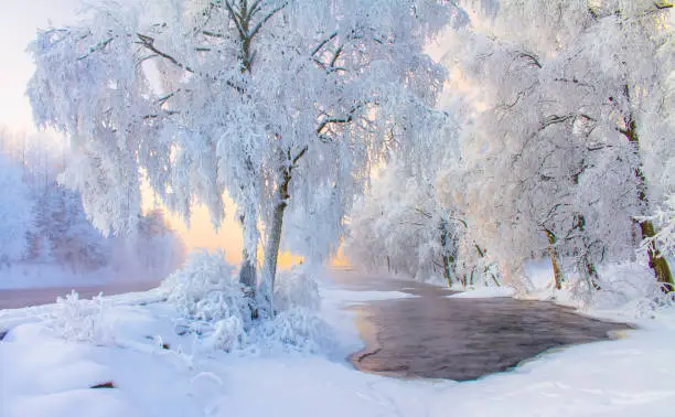 Photo of Snowy river landscape from Kuhmo, Finland.