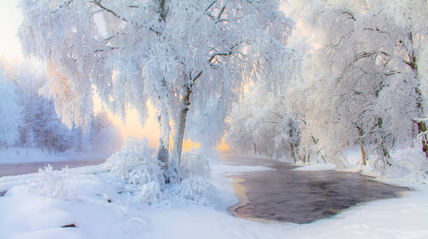 istock Snowy river landscape from Kuhmo, Finland. 913722846