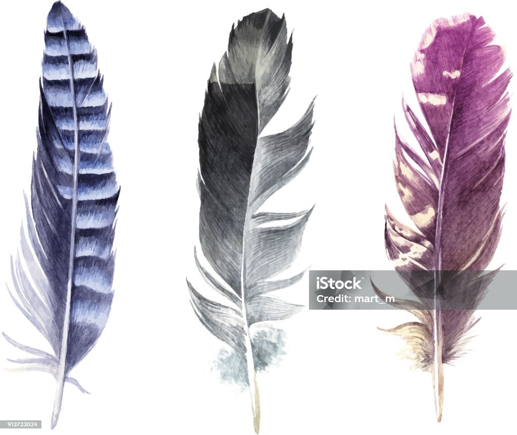 Hand drawn watercolor feather set 3 hand drawn watercolor feather isolated on white background Feather stock vector