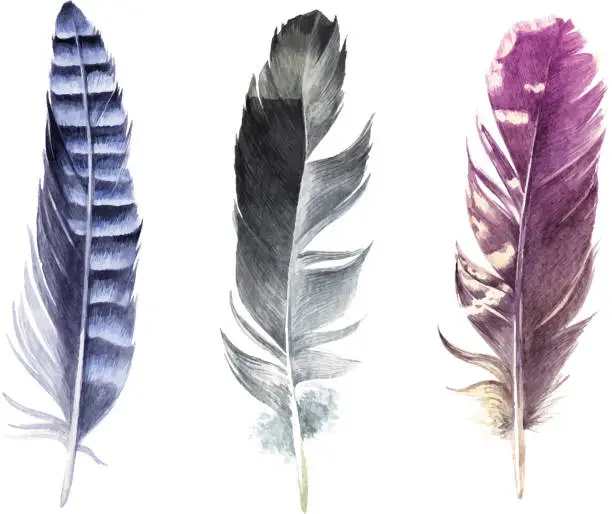 Vector illustration of Hand drawn watercolor feather set