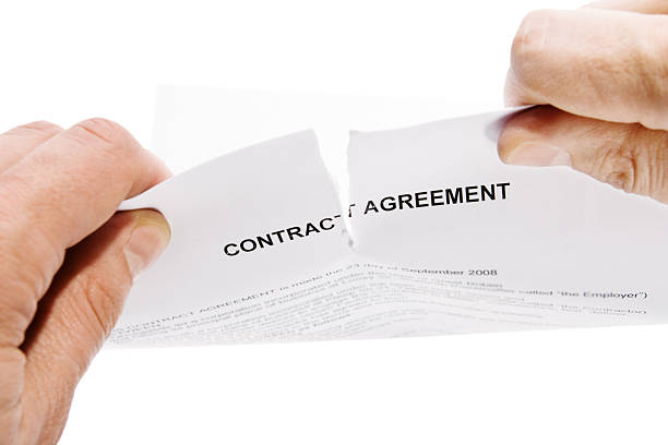torn contract stock photo