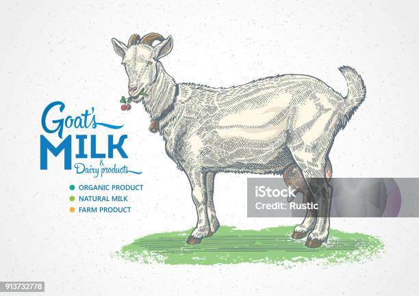 Goats Graphis Goat In Graphic Style Stock Illustration - Download Image Now - Goat ...