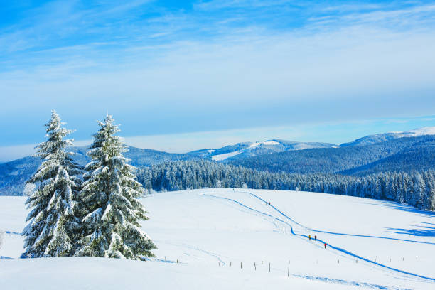 Winter landscape at Schauinsland in Black Forest, near Feldberg, Germany stock photo