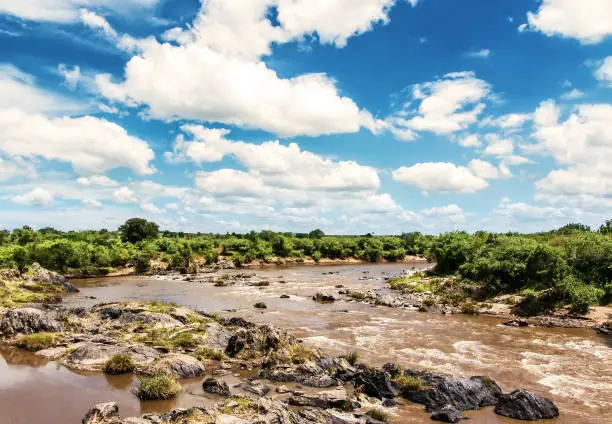 Scenic view at Mara River.The Mara River is  in Kenya and Tanzania and lies across the migration path in the Masai Mara/Serengeti game reserves