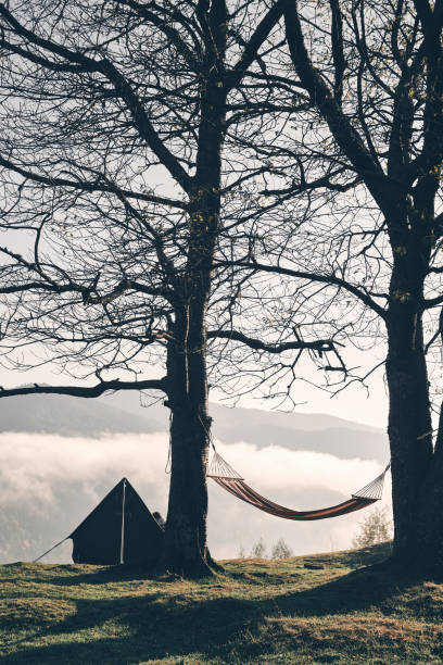 Shot of tent set up on the valley with the perfect view of mountain range in the background
